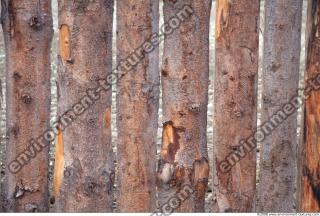 Wood 0007