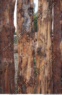 Wood 0013