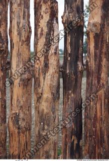 Wood 0010