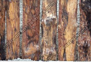 Wood 0009