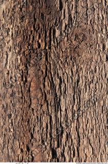 Wood 0037