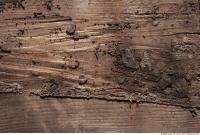 Wood 0017