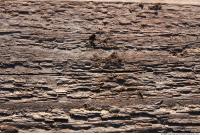 Wood 0049