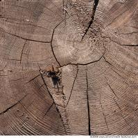 Wood 0027