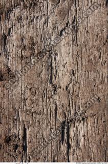 Wood 0019