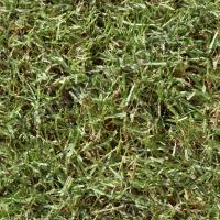 Seamless Grass 0014