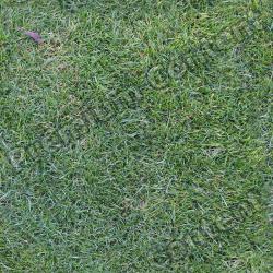 Seamless Grass