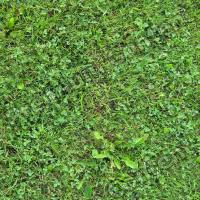 Seamless Grass 0007