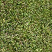 Seamless Grass 0006