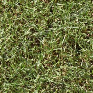 Seamless Grass 0011