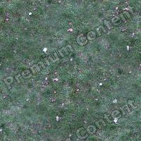 seamless grass frozen