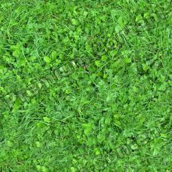 Seamless Grass