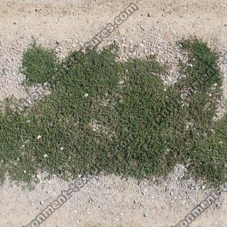 seamless groundplant