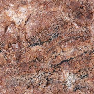 Seamless Bark 0001