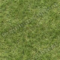 Seamless Grass 0001