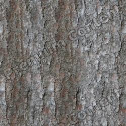 Seamless Tree Bark