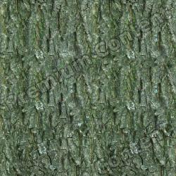 Seamless Bark