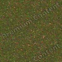 Seamless Grass 0001