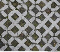 Photo Texture of Overgrown Floor