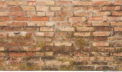 Walls Brick