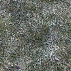 Seamless Grass