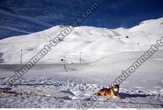 Photo Texture of Background Snowy Mountains