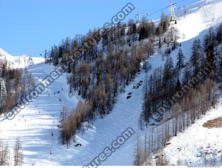 Photo Texture of Background Snowy Forest