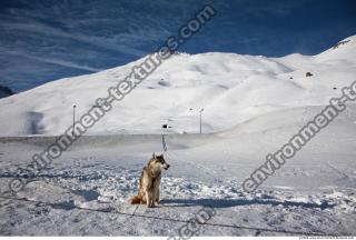 Photo Texture of Background Snowy Mountains