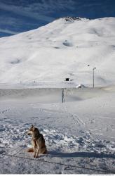 Photo Textures of Background Snowy Mountains