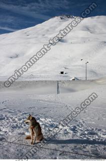 Photo Texture of Background Snowy Mountains