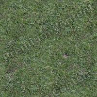 Seamless Grass 0001