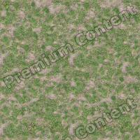 Seamless Grass 0001