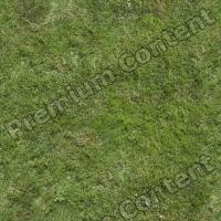 Seamless Grass 0001