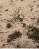 photo texture of sand