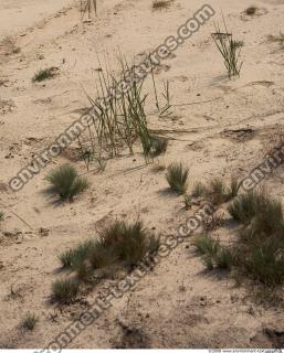 photo texture of sand