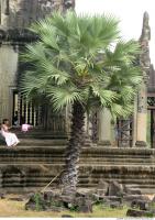 World Cambodia 0120