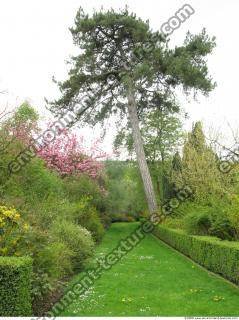 Background Garden 0065