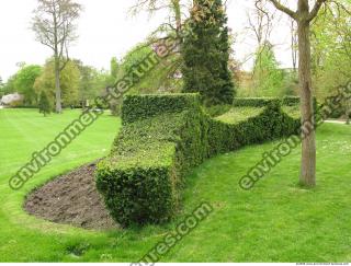 Background Garden 0070