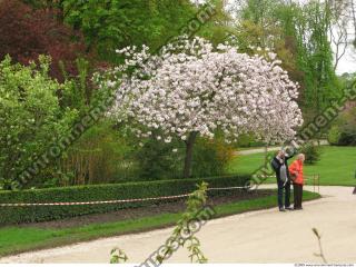 Background Garden 0064