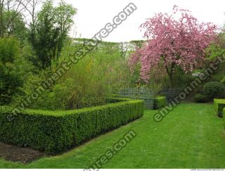 Background Garden 0078