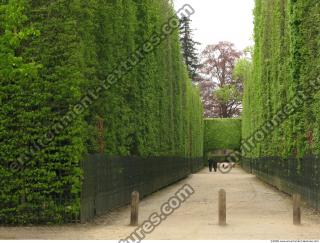 Background Garden 0059