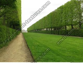 Background Garden 0082