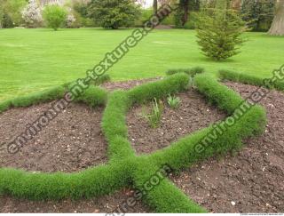 Background Garden 0077