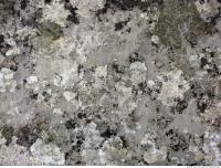 Ground Marble 0081