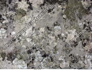 Ground Marble 0081