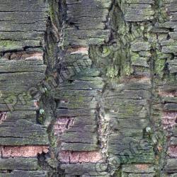 Seamless Bark