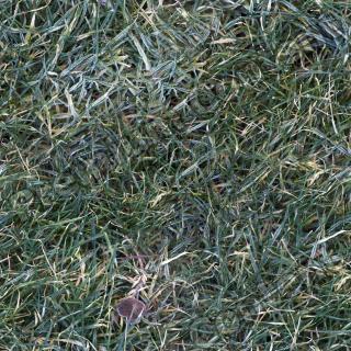 seamless grass frozen