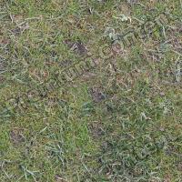 Seamless Grass 0001