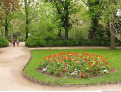 Background Garden