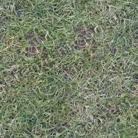 Seamless Grass 0001